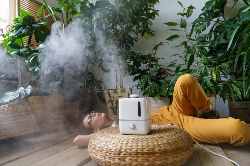 Soins Aux Usines : Utilisation De L'humidificateur D'air à La Maison Pour  Maintenir L'humidité Et Le Concept De Santé Des Plantes Image stock - Image  du dispositif, frais: 230287147