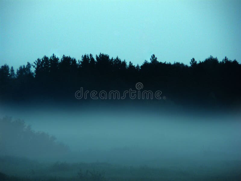 Soirée bruyante dans la forêt images stock Soirée bruyante dans la forêt images stock
