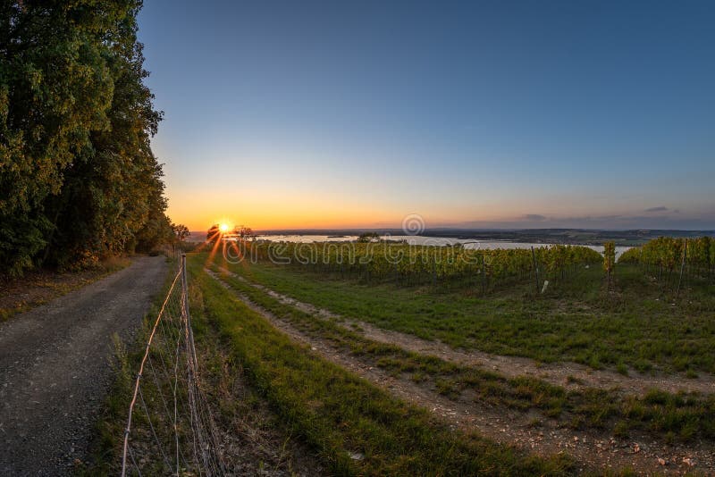 Soirée spectaculaire avec le vignoble dans le quartier de la République Tchèque du sud de la Moravie de pavlovice de velke avec la. Coucher du soleil avec le vignoble dans le quartier de la République Tchèque du sud de la Moravie de pavlovice de velke avec la vue du palava.