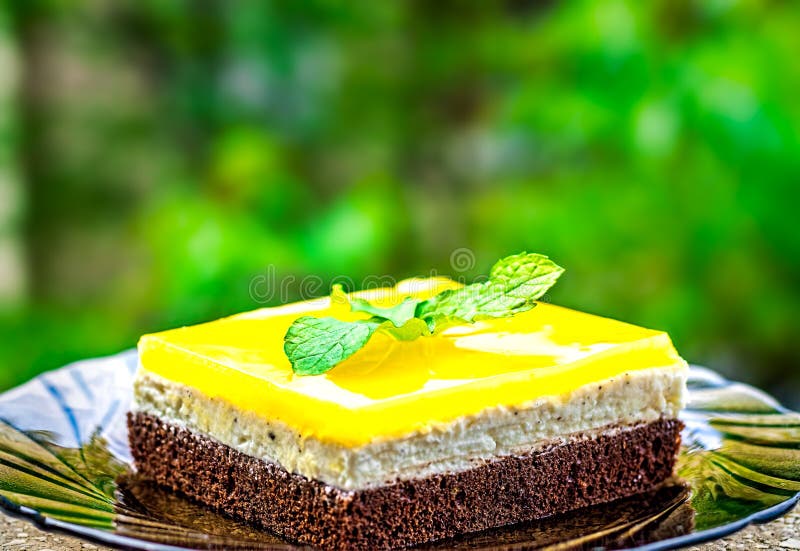 Soku Pomarańczowego Jello tort zdjęcie stock Soku Pomarańczowego Jello tort zdjęcie stock