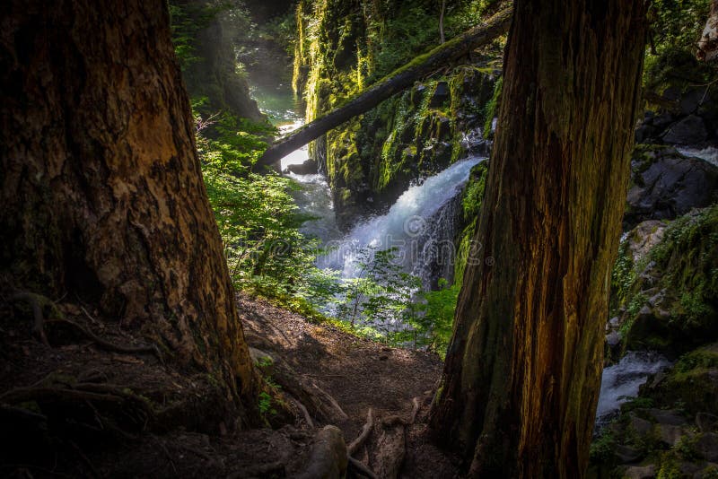 Sol Duc Falls In Parco Nazionale Olimpico Fotografia Stock Immagine