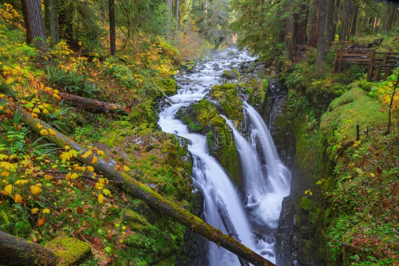 Sol Duc Waterfall in Rain Forest Stock Photo - Image of pacific ...