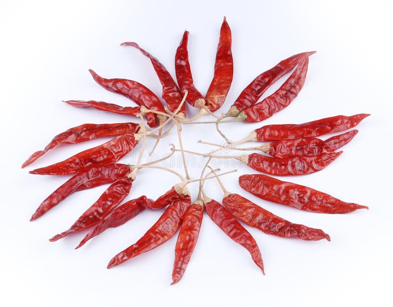 Red chillies placed in circle like summer sun. Red chillies placed in circle like summer sun