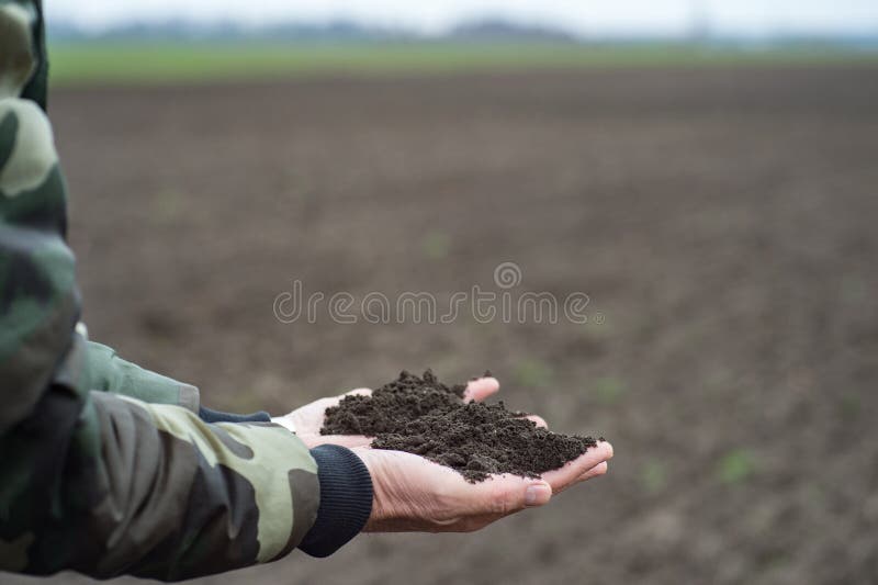 Sol negru în mâna omului fermier sau agronom care deține pământ negru pe câmpul de primăvară royalty free stock photo