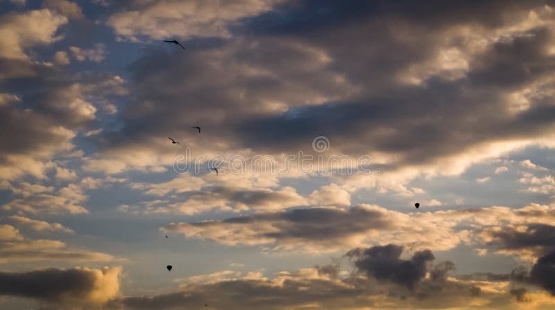 Sol ou pôr do sol sobre a cidade com balões e aves voadores fotos de stock Sol ou pôr do sol sobre a cidade com balões e aves voadores fotos de stock