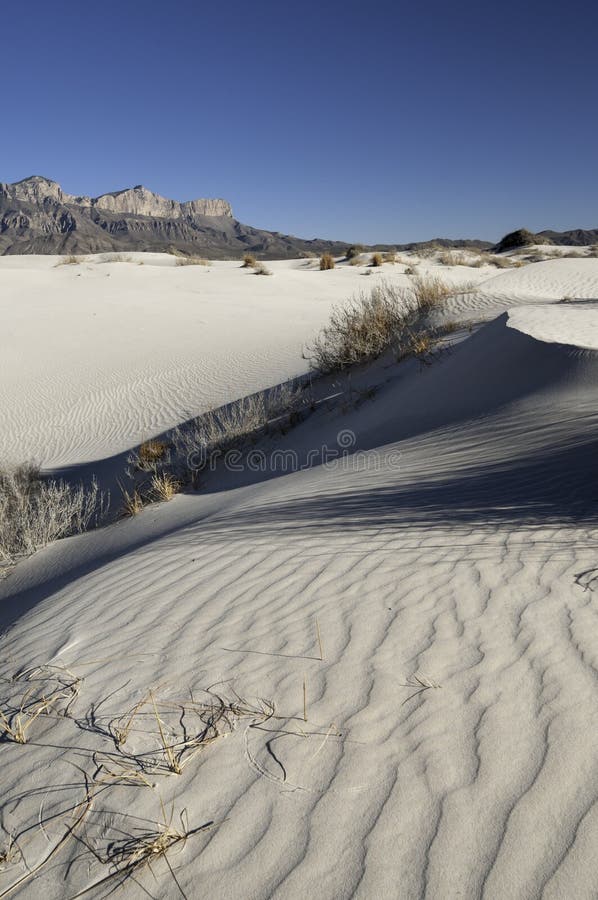 Salt basin dunes are made of Gypsum grains which are bright-white dunes in the western part of Guadalupe Mountains National Park. The dunes cover 2,000 acres and vary in size from three feet on the southern part to sixty feet in the northern part of the dune field which contains very little vegetation. Guadalupe Mountains present a very dramatic backdrop to the gypsum dune field. Salt basin dunes are made of Gypsum grains which are bright-white dunes in the western part of Guadalupe Mountains National Park. The dunes cover 2,000 acres and vary in size from three feet on the southern part to sixty feet in the northern part of the dune field which contains very little vegetation. Guadalupe Mountains present a very dramatic backdrop to the gypsum dune field.