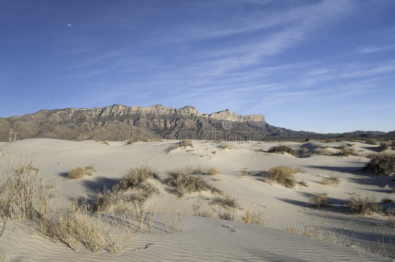 Salt basin dunes are made of Gypsum grains which are bright-white dunes in the western part of Guadalupe Mountains National Park. The dunes cover 2,000 acres and vary in size from three feet on the southern part to sixty feet in the northern part of the dune field which contains very little vegetation. Guadalupe Mountains present a very dramatic backdrop to the gypsum dune field. Salt basin dunes are made of Gypsum grains which are bright-white dunes in the western part of Guadalupe Mountains National Park. The dunes cover 2,000 acres and vary in size from three feet on the southern part to sixty feet in the northern part of the dune field which contains very little vegetation. Guadalupe Mountains present a very dramatic backdrop to the gypsum dune field.