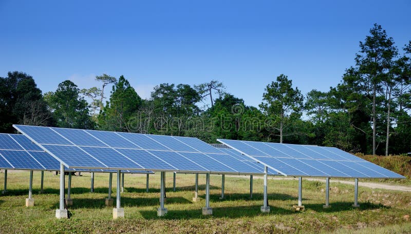 Solar cell in the forest, Sustainable concept stock image Solar cell in the forest, Sustainable concept stock image