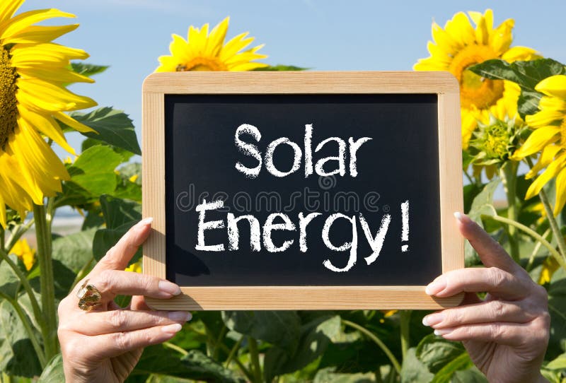 Solar energy sign and sunflowers