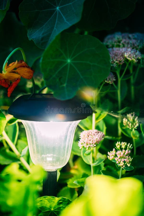 Solar Garden Light, Lantern in Flower Bed. Garden Design. Solar Stock Photo Image of green