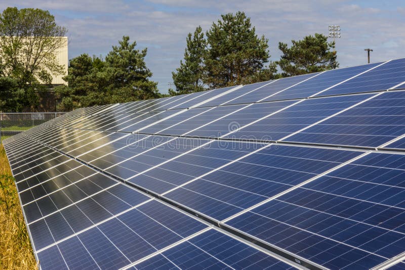 Solar Panel Farm. Corn Fields are Being Converted into Green Energy
