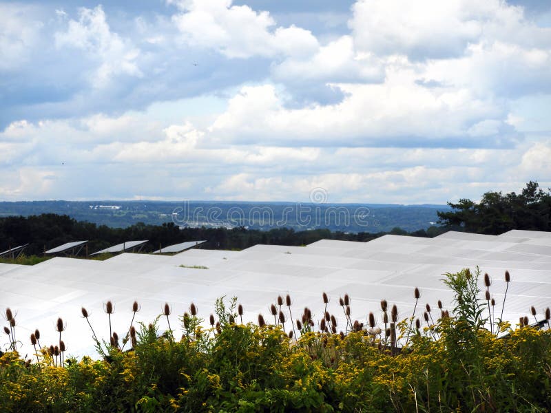 Solar Panel Farm Near Cayuga Lake Valley Ithaca NY Stock Photo Image