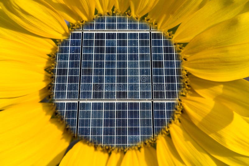 Solar Panels Inside of a Sunflower royalty free stock image