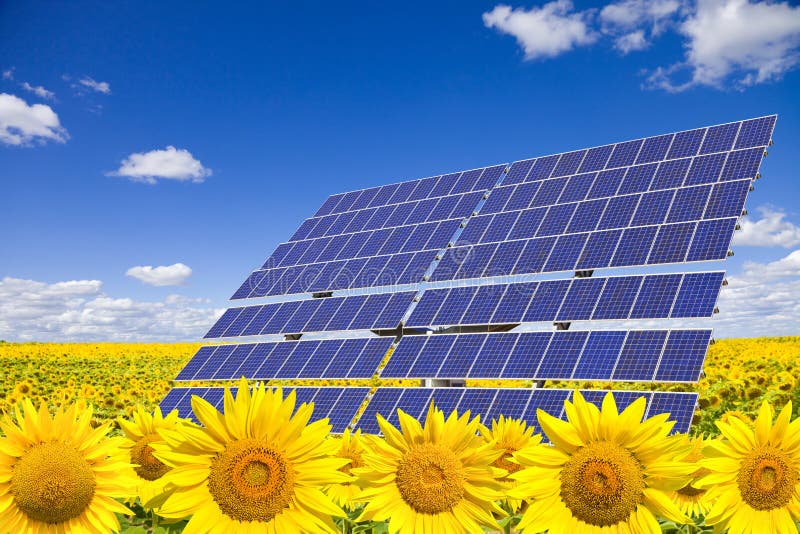 Solar panels on sunflowers field