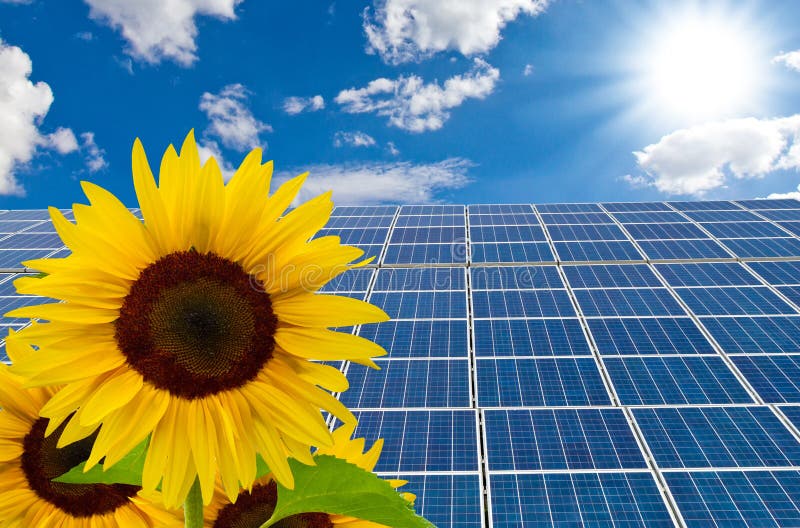 Solar panel and sunflowers stock photo. Image of environment 13483038