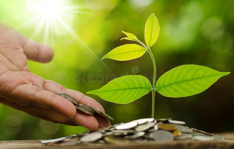 Soldi dare e di risparmio della mano dell'uomo d'affari al giovane albero immagini stock Soldi dare e di risparmio della mano dell'uomo d'affari al giovane albero immagini stock