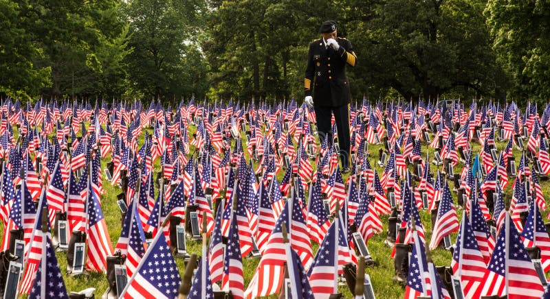 Soldier in Field of Flags on Memorial Day royalty free stock images Soldier in Field of Flags on Memorial Day royalty free stock images