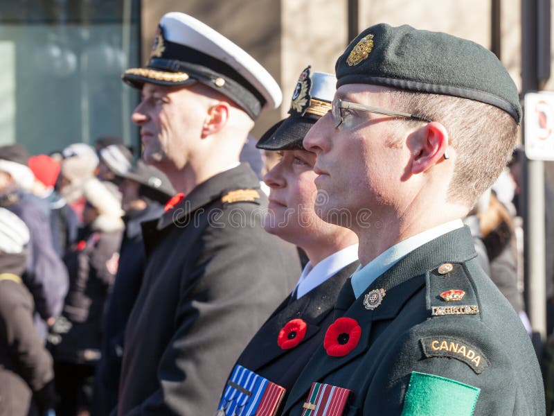 Soldiers from Canadian Army, two men, a woman, from Navy & ground forces, wearing remembrance poppy, standing on ceremony royalty free stock image Soldiers from Canadian Army, two men, a woman, from Navy & ground forces, wearing remembrance poppy, standing on ceremony royalty free stock image