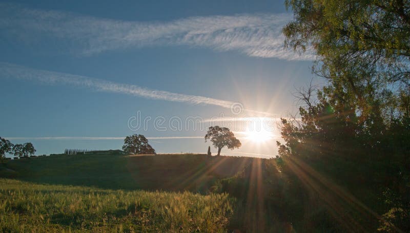 Sole di primo mattino che splende accanto alla quercia della valle sulla collina nel paese di vino di Paso Robles nel Central Val fotografia stock libera da diritti Sole di primo mattino che splende accanto alla quercia della valle sulla collina nel paese di vino di Paso Robles nel Central Val fotografia stock libera da diritti