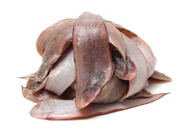 1,821 White Sole Fish Stock Photos Free & RoyaltyFree Stock Photos
