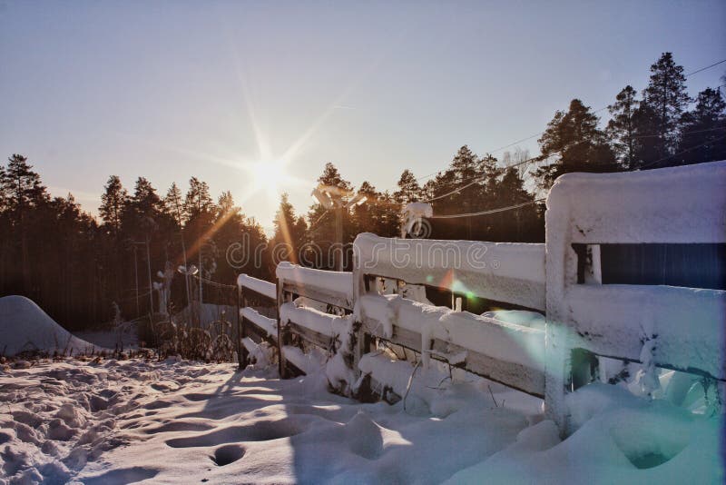 Solen var glänsande i vintern royaltyfri bild Solen var glänsande i vintern royaltyfri bild