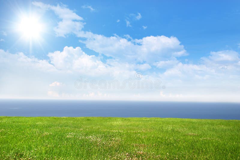 Fresh green grass on bright sunny day and sea in the background. Fresh green grass on bright sunny day and sea in the background