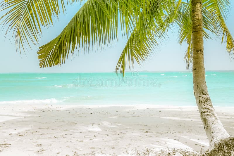 Sunny day at amazing tropical beach with palm tree, white sand and turquoise ocean waves. Myanmar (Burma) travel landscapes and destinations. Sunny day at amazing tropical beach with palm tree, white sand and turquoise ocean waves. Myanmar (Burma) travel landscapes and destinations