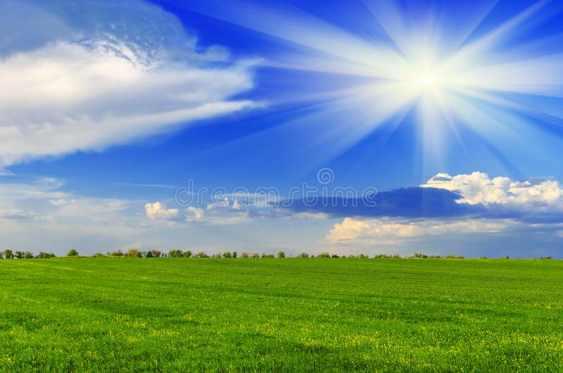 Spring sunny day on a green meadow. Summer landscape. Spring sunny day on a green meadow. Summer landscape