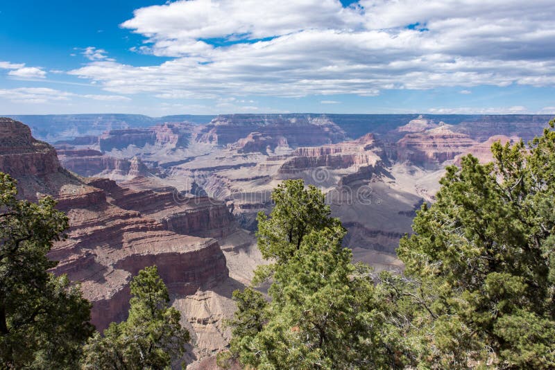 Solig dagsikt av den Grand Canyon nationalparken, med träd i foto arkivfoton Solig dagsikt av den Grand Canyon nationalparken, med träd i foto arkivfoton
