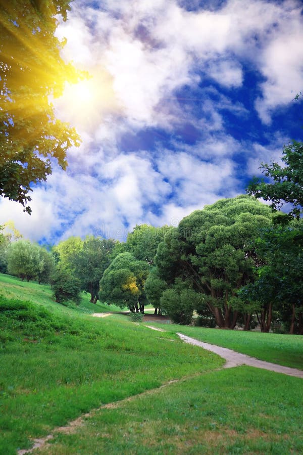 Green forest with blue sky and clouds, a sunny summer day. Green forest with blue sky and clouds, a sunny summer day