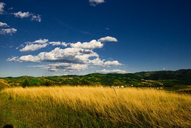 Meadow with hills in the background on a bright sunny day. Meadow with hills in the background on a bright sunny day.