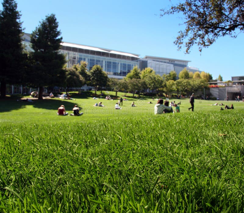 People enjoying a sunny day in the park of San francisco. People enjoying a sunny day in the park of San francisco