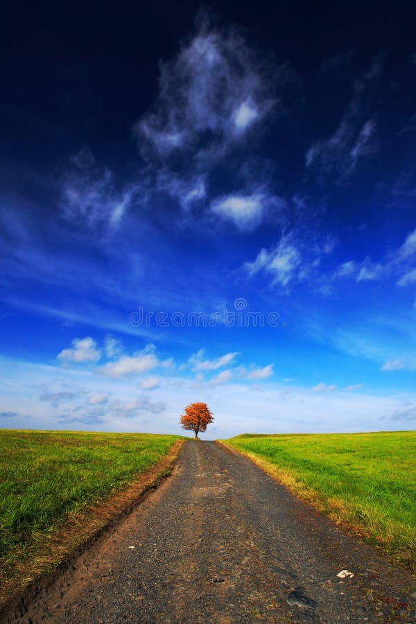 Solitaire oranje kastanjeboom tijdens de herfst Boom in de weide, met donkerblauwe hemel met witte wolken Weg tussen groene weide royalty-vrije stock afbeelding Solitaire oranje kastanjeboom tijdens de herfst Boom in de weide, met donkerblauwe hemel met witte wolken Weg tussen groene weide royalty-vrije stock afbeelding