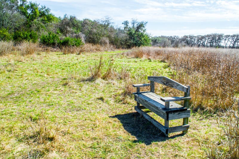 Weathered wooden bench in Texas prairie grass and green trees with morning sunlight