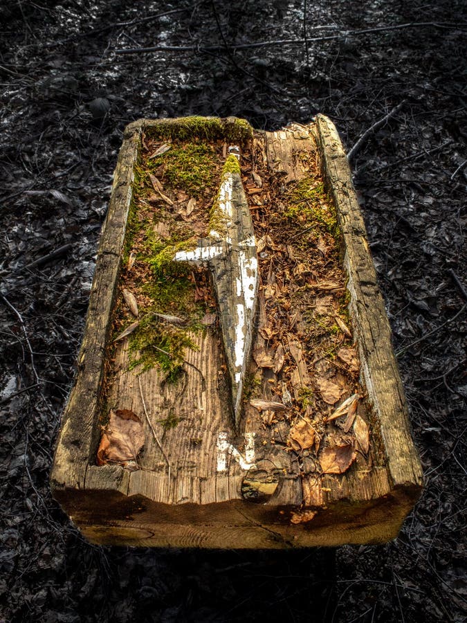 Solljus på en gammal träkompass i skogen arkivfoton Solljus på en gammal träkompass i skogen arkivfoton