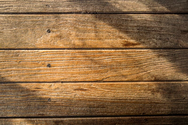 Solljus på trä arkivbilder Solljus på trä arkivbilder