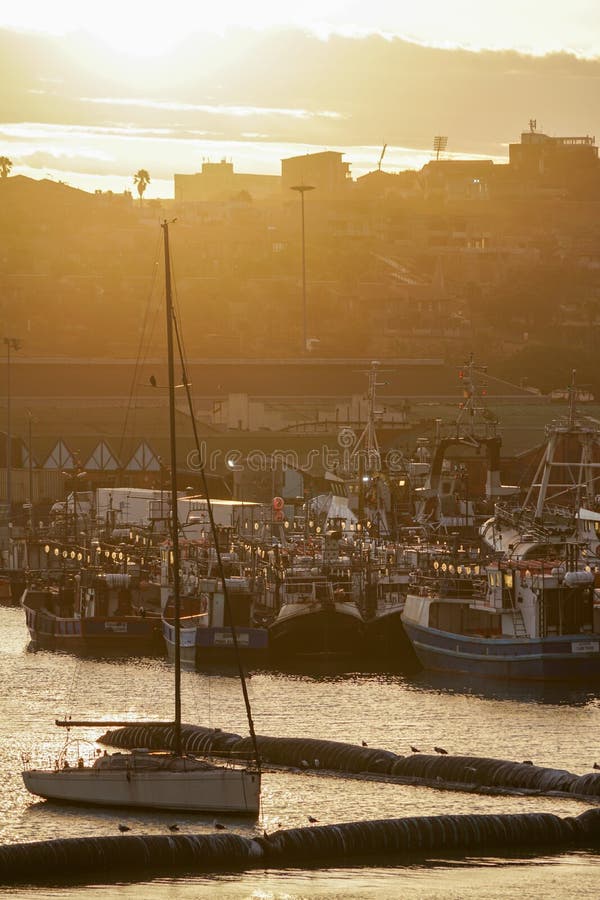 Solnedgång i hamn ElizElizabeth South africa royaltyfria foton
