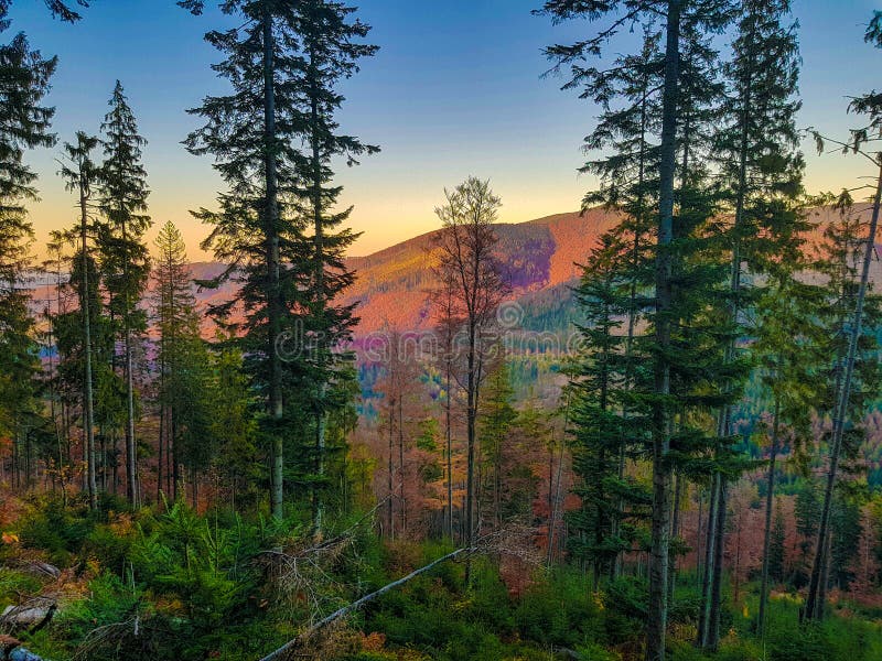 Solnedgång med bergskoglandskapet, Babia Gora, Polen royaltyfri foto Solnedgång med bergskoglandskapet, Babia Gora, Polen royaltyfri foto