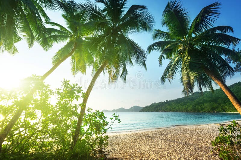 Solnedgång på stranden Takamaka, Mahe ö royaltyfri bild Solnedgång på stranden Takamaka, Mahe ö royaltyfri bild