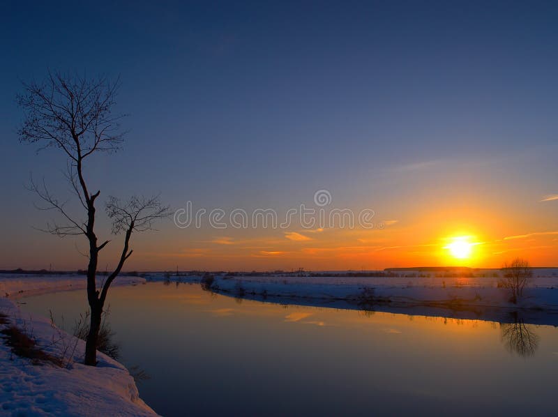 Solnedgångvinter royaltyfri fotografi