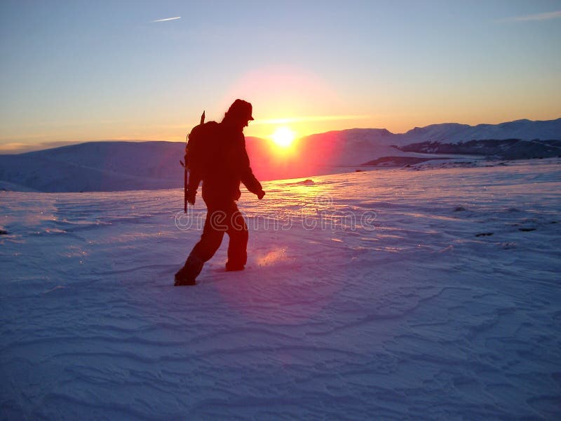 Solnedgångvinter royaltyfri bild
