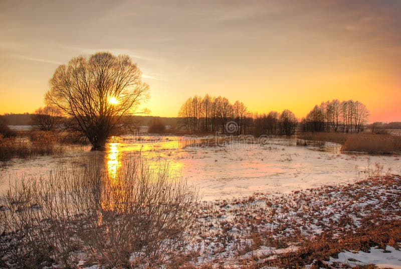 Solnedgångvinter royaltyfri fotografi