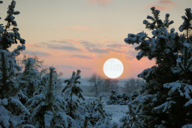 Solnedgångvinter royaltyfri fotografi