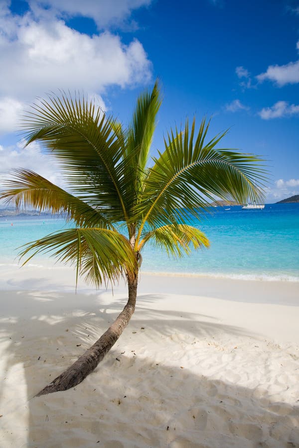Solomon Beach, St John, US Virgin Islands Stock Image - Image of pristine,  tranquil: 142617529
