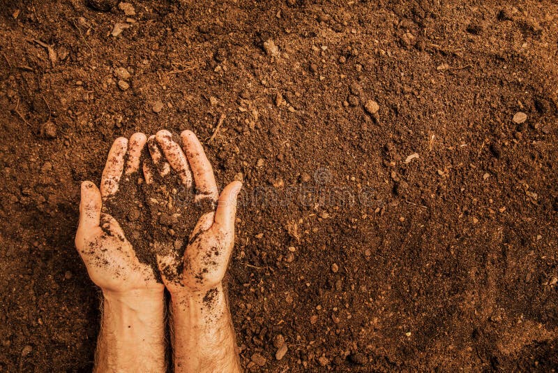 Solul din agricultori se bazează pe fundalul terenului royalty free stock photo