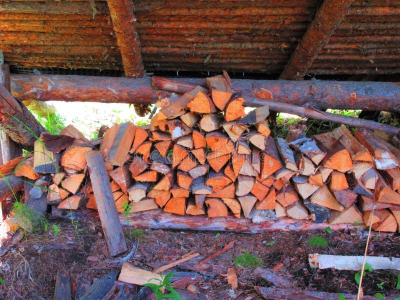 Som birch wood stored under a old wooden roof stock photos Som birch wood stored under a old wooden roof stock photos