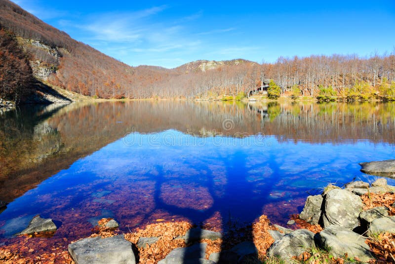 Lago shadow foto de archivo. Imagen de claro, árbol, azul 2921914