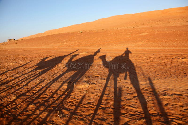 Camel riders shadows across the red desert sands of Oman. Camel riders shadows across the red desert sands of Oman