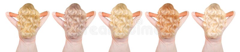 Sombras de pelo rubio. hermoso cabello rubio largo y curly tintes belleza mujer que muestra muestras de pelo sano teñido. peinado