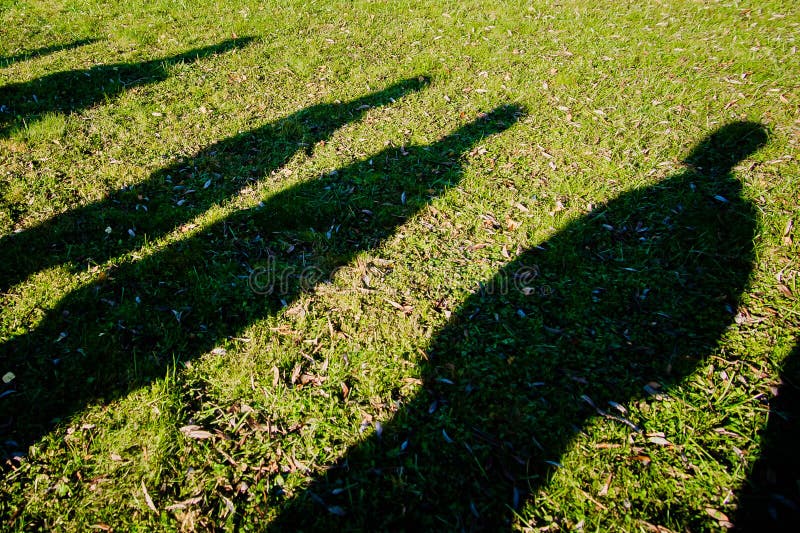 Shadows of several people on the green grass on sunny day. Shadows of several people on the green grass on sunny day